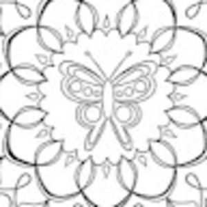 Meet your Posher, Tami